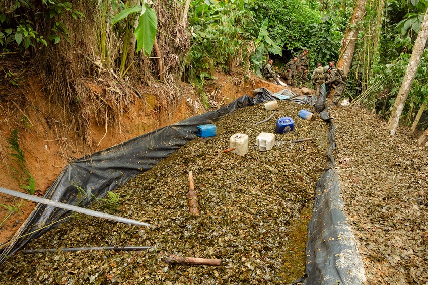 Proizvodnja kokaina u džunglama