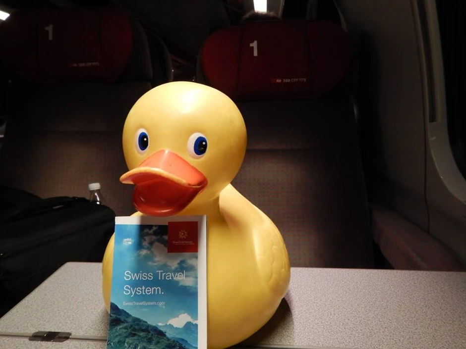 Patkica u Švajcarskoj