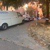 Bežanijska kosa hronika
