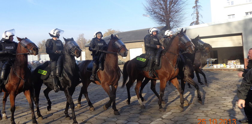 Dzielne konie, służą w policji