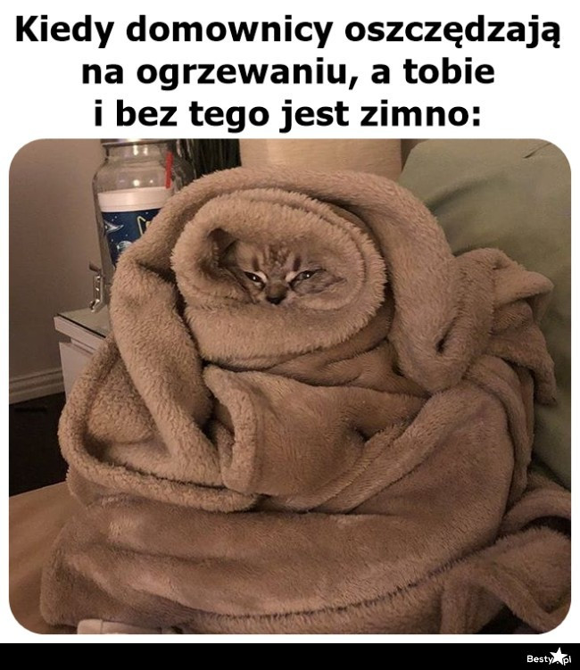 Memy o ogrzewaniu