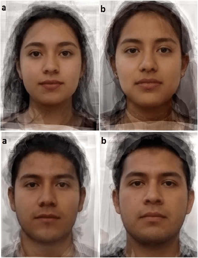 (A) Composite images of ten Toxoplasma-infected women and ten Toxoplasma-infected men, (B) composite images of ten non-infected women and ten non-infected men. Each picture represents the average face of men and women with and without Toxoplasma infection. Since each picture was created by merging photos of 10 individuals for each category, the faces shown in the pictures are not real individuals. Full-size  DOI: 10.7717/peerj.13122/fig-1
