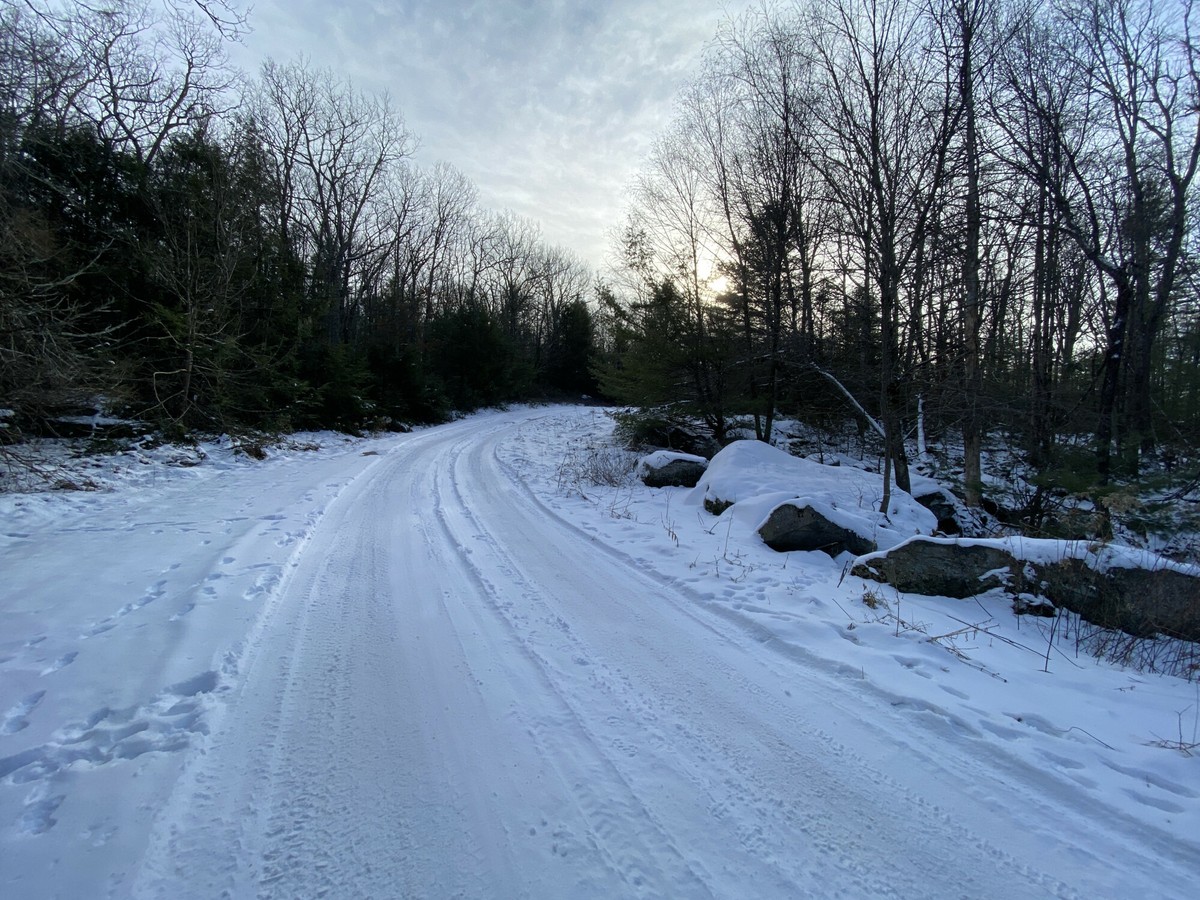 Deposit Photos 2026-02-12