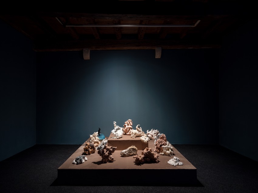 Meke forme, Darko Vučković