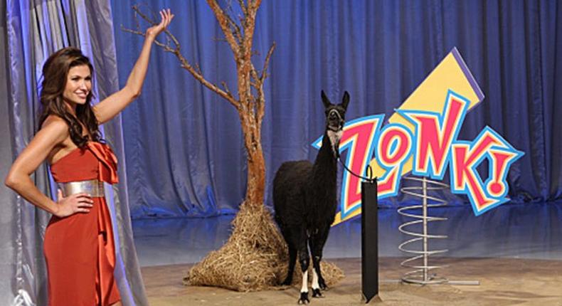 The Monty Hall goat.