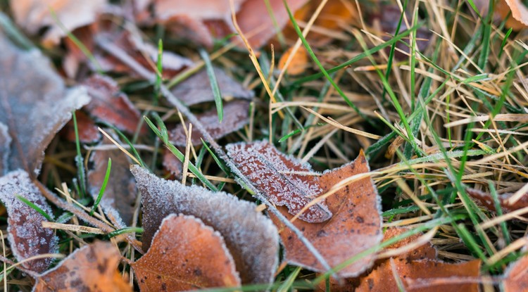 Hamarosan érkezik a lehűlés / Fotó: Northfoto