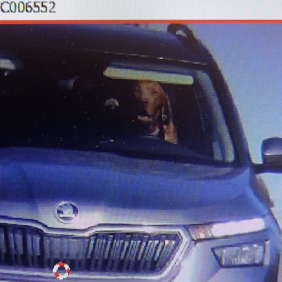 Senickí policajti neverili vlastným očiam na policajnom radare.