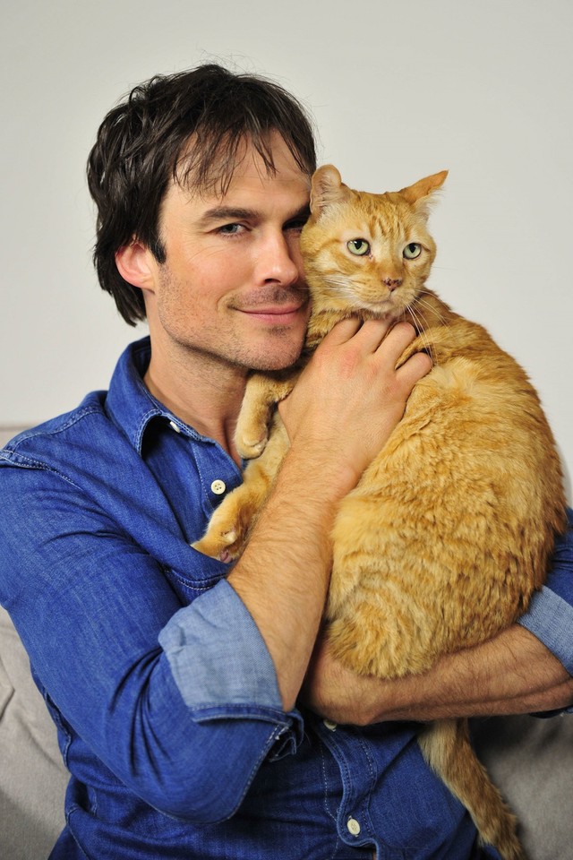 Gwiazdy i ich koty: Ian Somerhalder