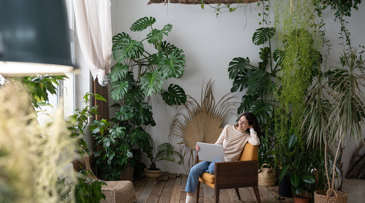 Boldogan hátradőlhetünk a székünkben és élvezhetjük a növényekkel teli otthonunkat/Fotó: Shutterstock