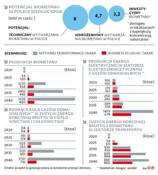Potencjał biometanu w Polsce według KPEiK