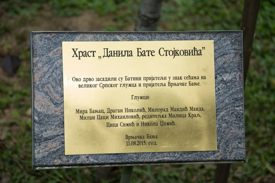 Hrast Bate Stojkovića u Vrnjačkoj Banji koje su posadile kolege prošle godine