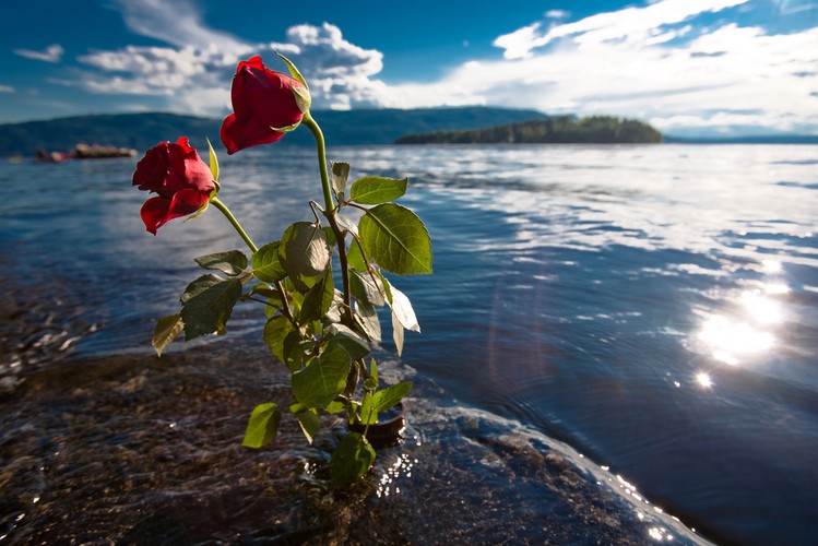 8. 22 lipca 2011 roku, świat obiegła informacja o zamach w Norwegii. W Oslo w pobliżu budynków rządowych  wybuchła bomba, która zabiła osiem osób. Chwilę później dowiedzieliśmy się, że w letnim obozie dla młodzieży, który był zorganizowany przez rządzącą w Norwegii centrolewicową Partię Pracy na wyspie Utoya, bandyta Andreas Breivik zabił 69 osób. Fot.flickr/Iwpkommunikacio