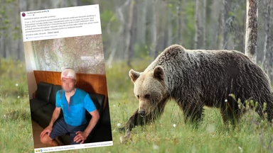 Niedźwiedź zaatakował ratownika górskiego. "Udało mu się wspiąć na drzewo"