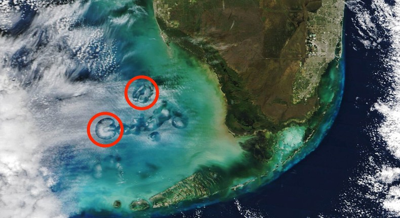 Cavum clouds are an odd phenomenon that have been mistaken for flying saucers.NASA Earth Observatory image by Michala Garrison, using MODIS data from NASA EOSDIS LANCE and GIBS/Worldview