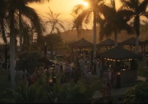 Oasis