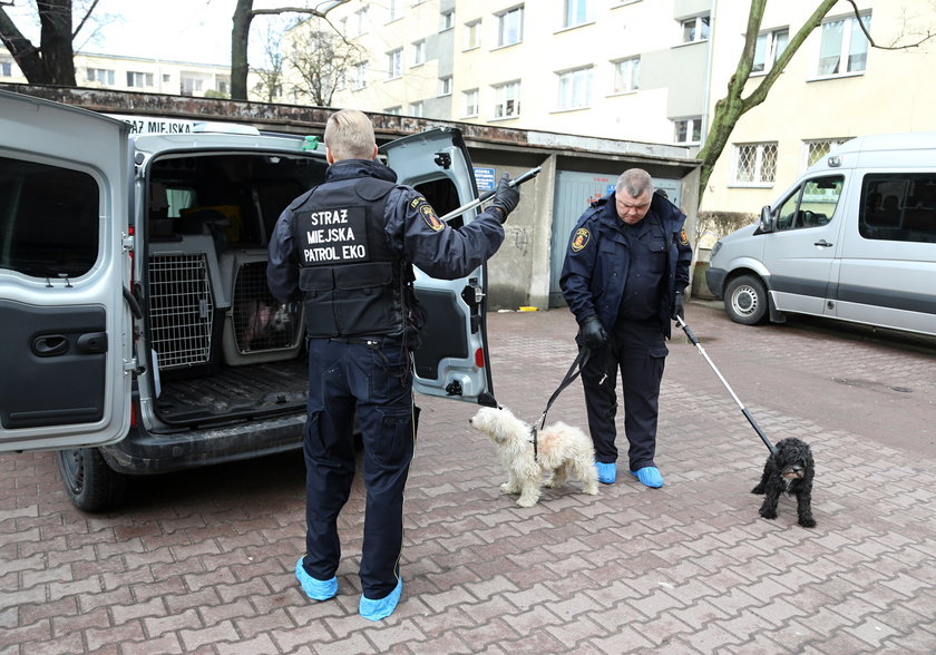 Morderstwo na Woli. Czyje psy były w mieszkaniu?