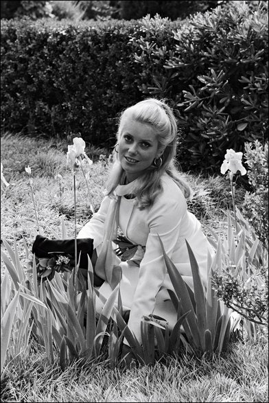 Catherine Deneuve na festiwalu w Cannes w 1965 r.