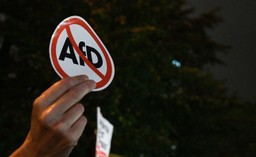 Alternative für Deustchland (AfD) - co to takiego?