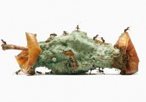 545678_profimedia0006772237