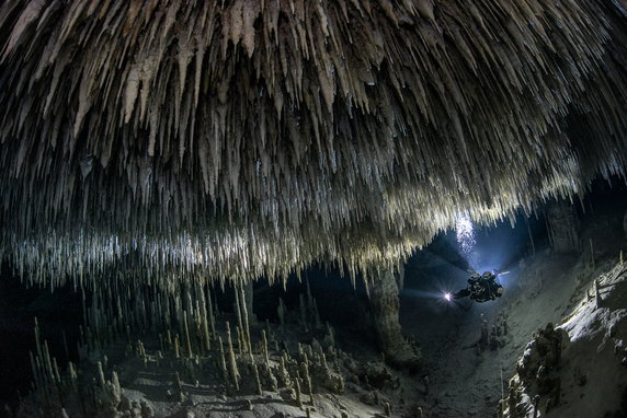 Świat podwodnych jaskiń w Riviera Maya na Jukatanie