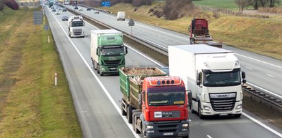 Polskie firmy uciekają do Niemiec. Jednym z powodów ma być projekt polskiego rządu 