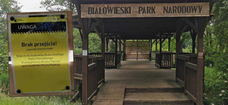 W Białowieży zamknęli kładkę do Parku Narodowego. Turyści i mieszkańcy pukają się w głowę