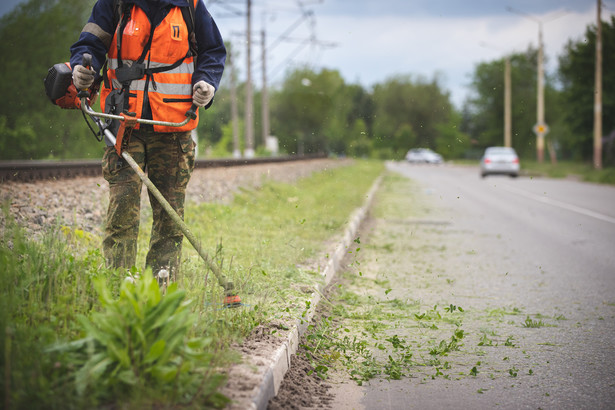 Ukąszenie przez kleszcza może zostać uznane za wypadek przy pracy