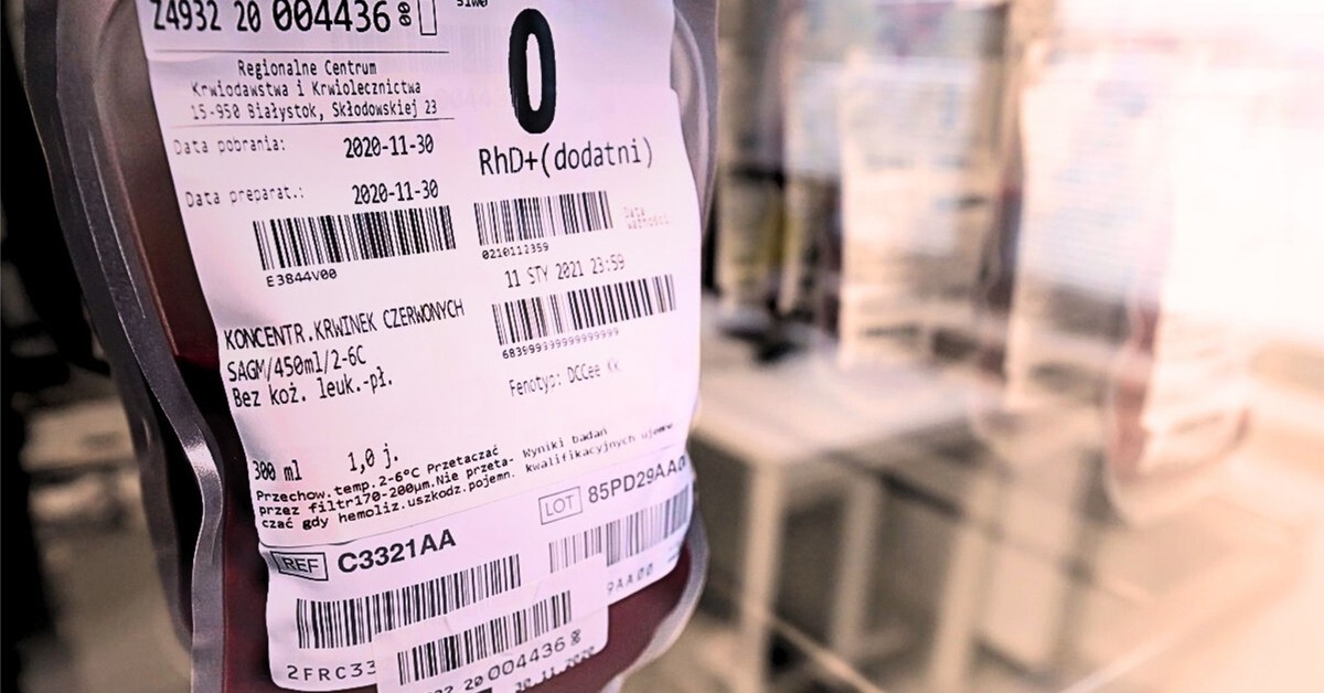 Do 500 zł dla dawców rzadkich grup krwi w 2025 r. Ministerstwo ujawniło listę – kto dostanie pieniądze?