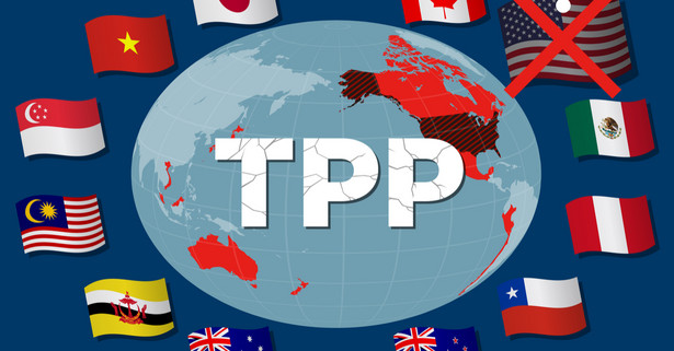 TPP ma być podpisane 8 marca w Chile przez przedstawicieli 11 krajów: Australii, Brunei, Chile, Japonii, Kanady, Malezji, Meksyku, Nowej Zelandii, Peru, Singapuru i Wietnamu