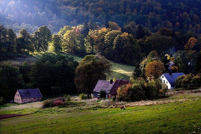 Galeria Polska - Beskidy, obrazek 7