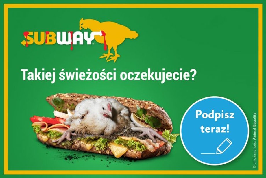 subawy podpisze teraz