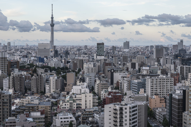 Widok ogólny na wschód w kierunku Tokyo Skytree (L), który znajduje się w dzielnicy Sumida – obszarze zniszczonym przez trzęsienie ziemi w 1923 r.
