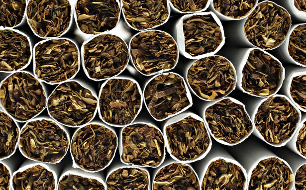 Tytoń do palenia bez akcyzy, oferowany w internecie jako "wyrób kolekcjonerski", jest ponad dwa razy tańszy od sklepowego