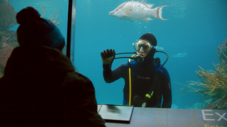 NAJGORSZY PRZEKŁAD TYTUŁU ZAGRANICZNEGO: