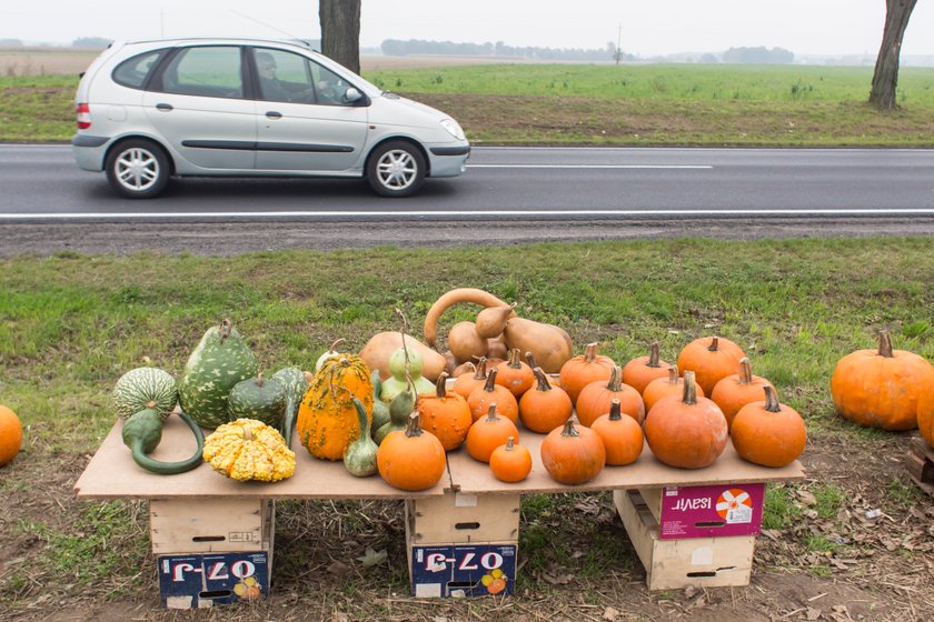 Zbliża się Halloween! Jak go spędzić w Poznaniu?