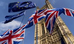 Wielka Brytania. Rząd ogłosił ewentualny termin wyborów do PE