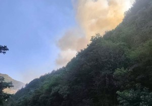 Požar uz Ibarsku magistralu kod Magliča