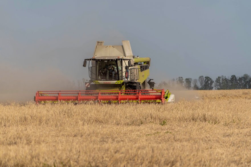 Kombajn zbiera pszenicę na polu jednego z gospodarstw we wsi Szełudkiwka w obwodzie charkowskim