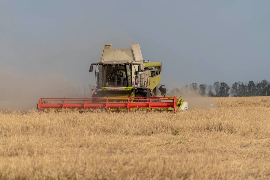 Kombajn zbiera pszenicę na polu jednego z gospodarstw we wsi Szełudkiwka w obwodzie charkowskim