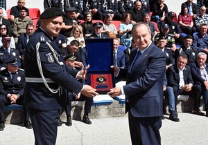 Policijska brigada