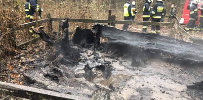 Spłonął "Dąb Rzeczypospolitej". Nagroda za wskazanie sprawcy podpalenia