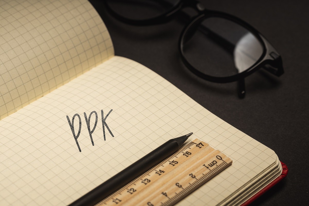 PPK - czy warto? 5 lat PPK w Nationale Nederlanden