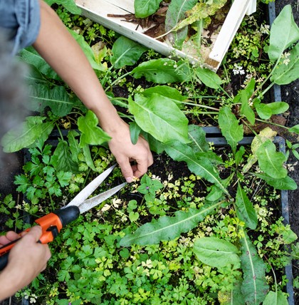 GettyImages-1185416704