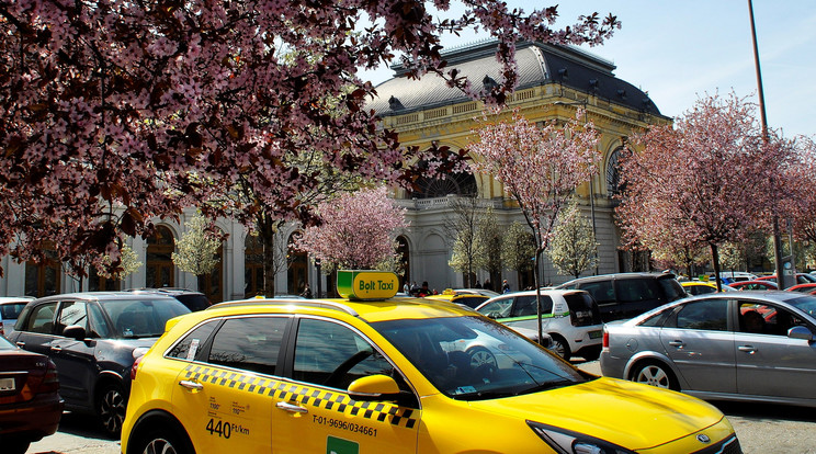 A BKK is reagált a Bolt Taxit érintő vádakra /Fotó: MTVA/Bizományosi: Balaton József