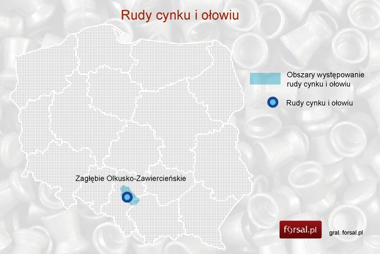 Rudy cynku i ołowiu. Pod koniec 2012 roku szacowano, że Polska dysponuje 77,15 mln ton rud, zawierających 3,42 mln ton cynku i 1,45 mln ton ołowiu, wydobycie rud wyniosło zaś 2,33 mln ton. Głównymi obszarami występowania złóż są północne i północno-wschodnie okolice Górnośląskiego Zagłębia Węglowego (Chrzanów, Olkusz, Bytom, Zawiercie). Zaletą złóż rud cynku i ołowiu jest występowanie na stosunkowo niewielkich głębokościach (50-400 metrów pod ziemią). Obniża to koszty eksploatacji.