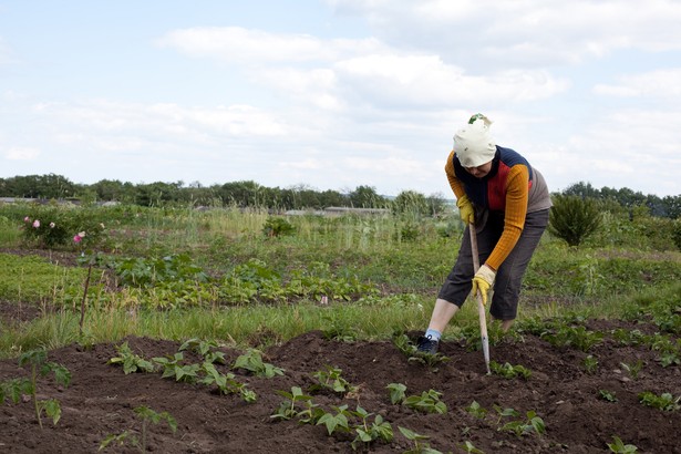 Wśród pozywających są zarówno osoby chore, jak i domagające się odszkodowania po śmierci bliskich.