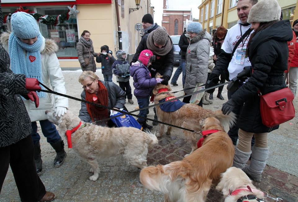 Czworonożni wolontariusze WOŚP