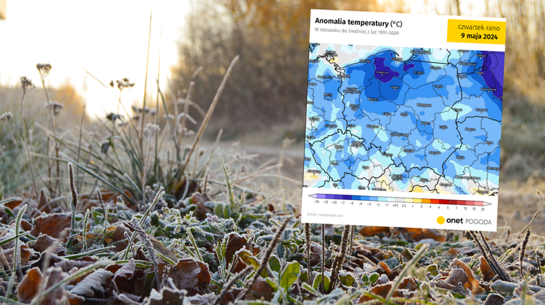 Ujemna anomalia temperatury sprowadzi przymrozki (screen: meteologix.com)