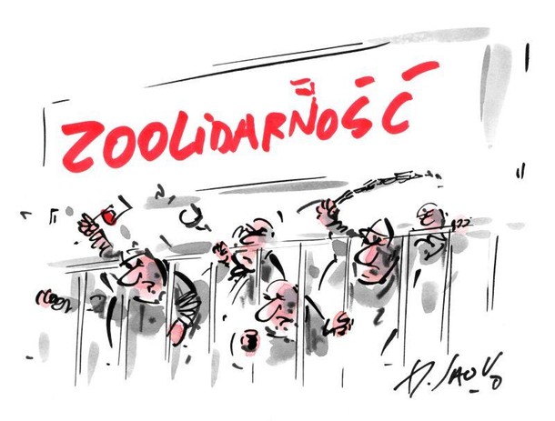 sawka zoolidarność solidarność związkowcy