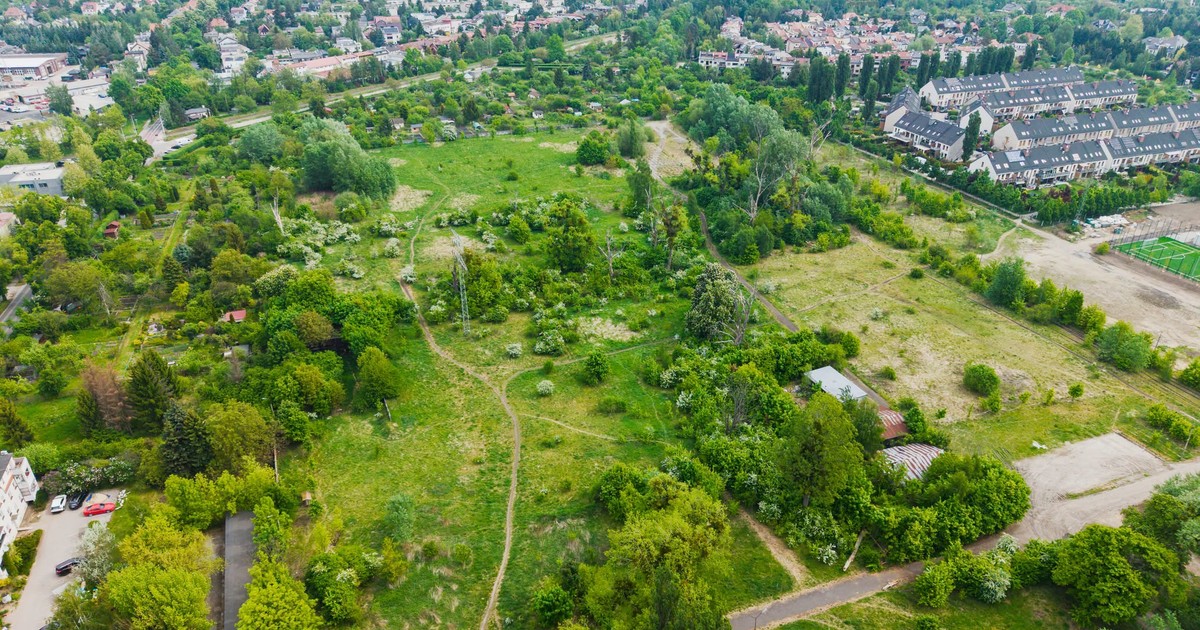 Przy Zwycięskiej będzie park!